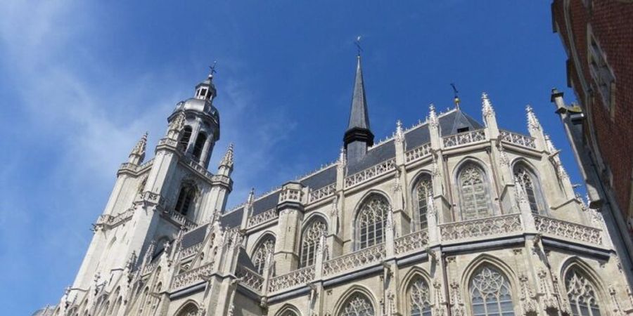 image - P91V0011-Halle Halle, tussen Zenne en geschiedenis