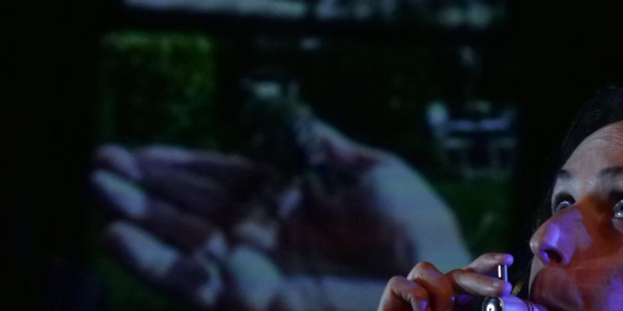 image - Post Mortem | Jasmina Douieb / Entre Chiens et Loups