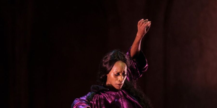 image - The disappearing act