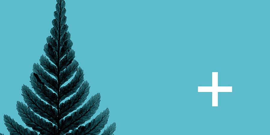 image - OPRL+ PHOTOGRAPHIE : AMAZÔNIA