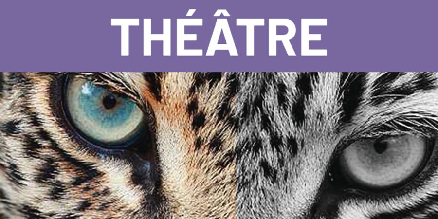 image - Le repas des fauves