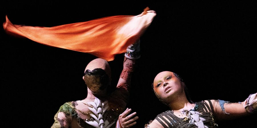 image - Último Helecho