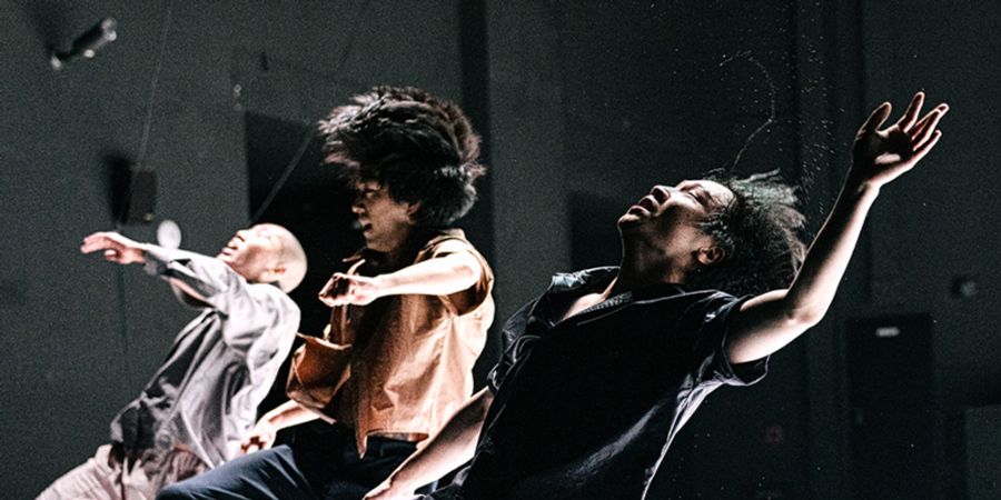 image - Jungle + Everything Falls Dramatic