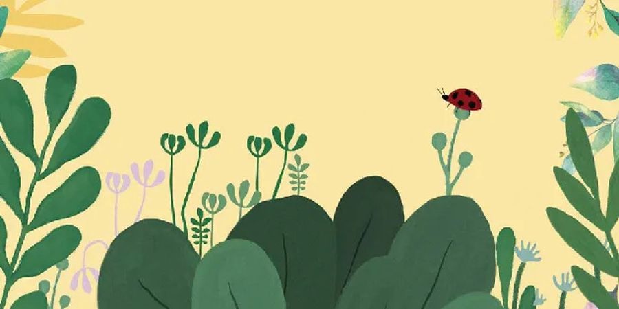 image - Jardins enchantés