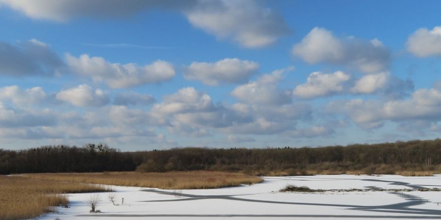 image - Marche ADEPS Virelles