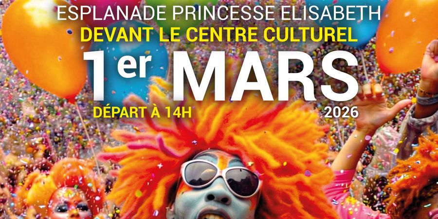 image - 19ème édition du Carnaval de Dinant