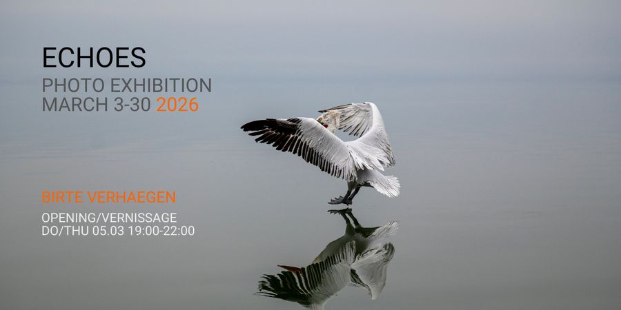 image - EXPO PHOTO: Echoes