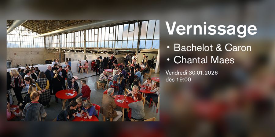 image - Vernissages - Bachelot & Caron et Chantal Maes