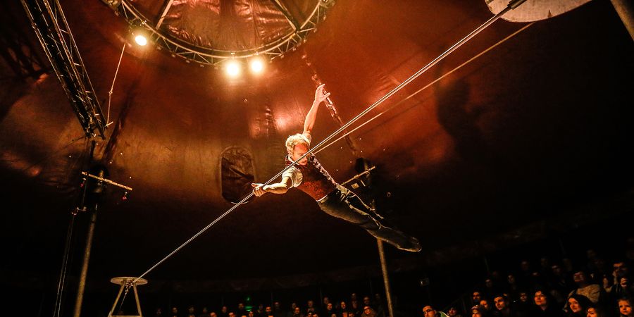 image - L'Homme Cirque