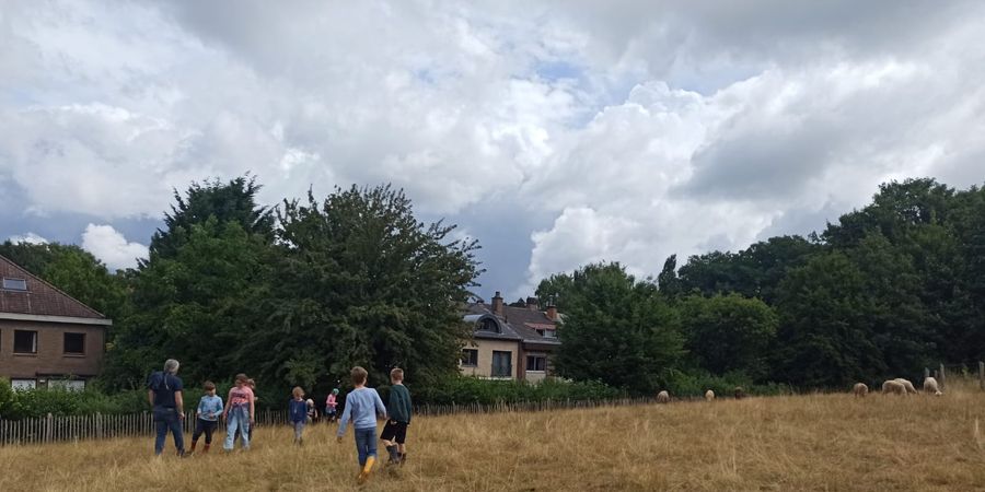 image - Stage à la Ferme pour les 6-10 ans