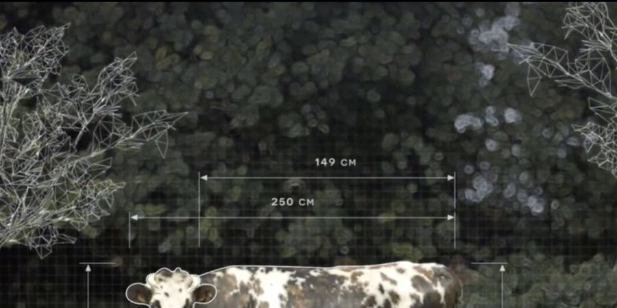 image - L'usine des animaux · Festival Alimenterre @ Anderlecht