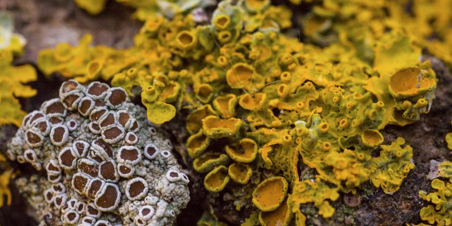 image - Visite du parc 