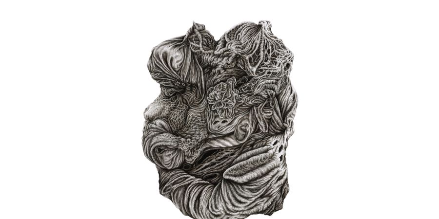 image - Robin Bodéüs : 