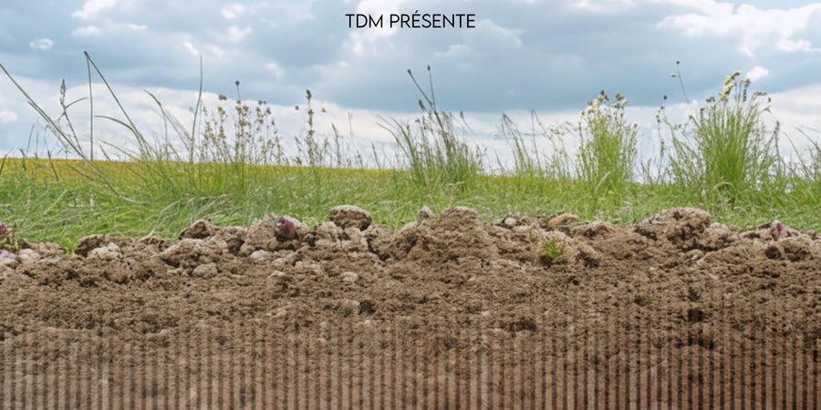 image - Ciné-débat : « D’utilité publique »