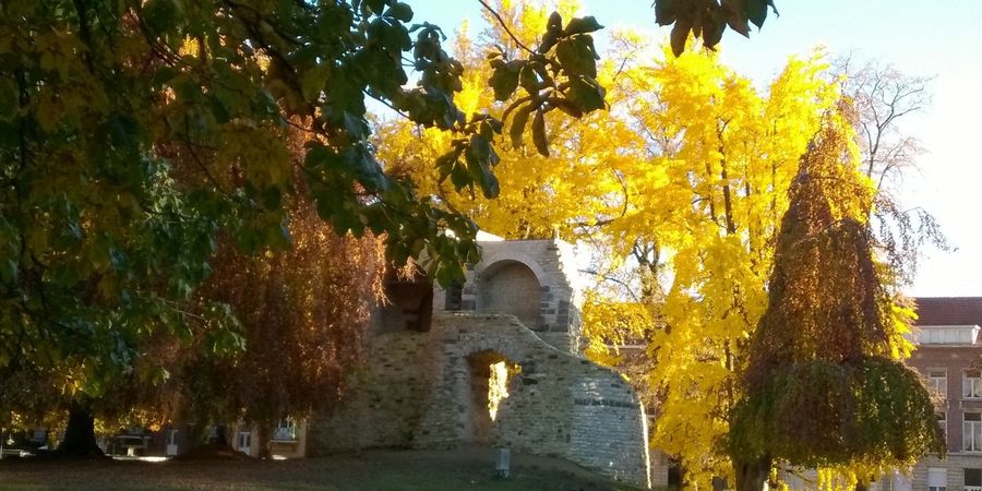 image - Sint-Donatuspark