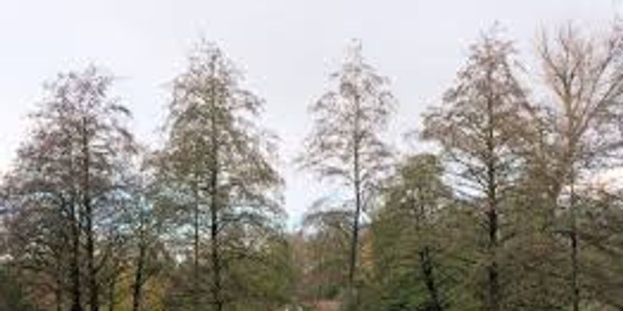 image - Parc Josaphat