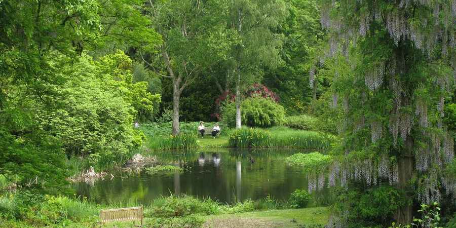 image - Arboretum van Kalmthout