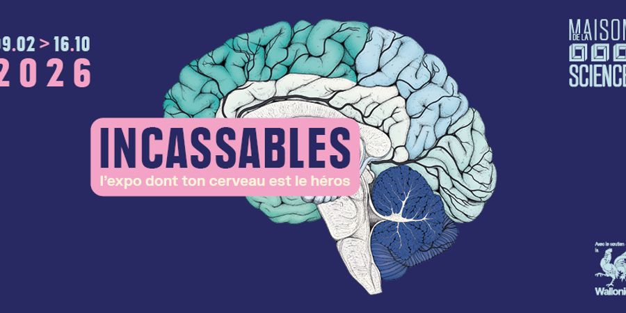 image - Incassables, l'expo dont ton cerveau est le héros