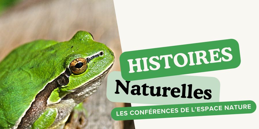 image - Conférence : 