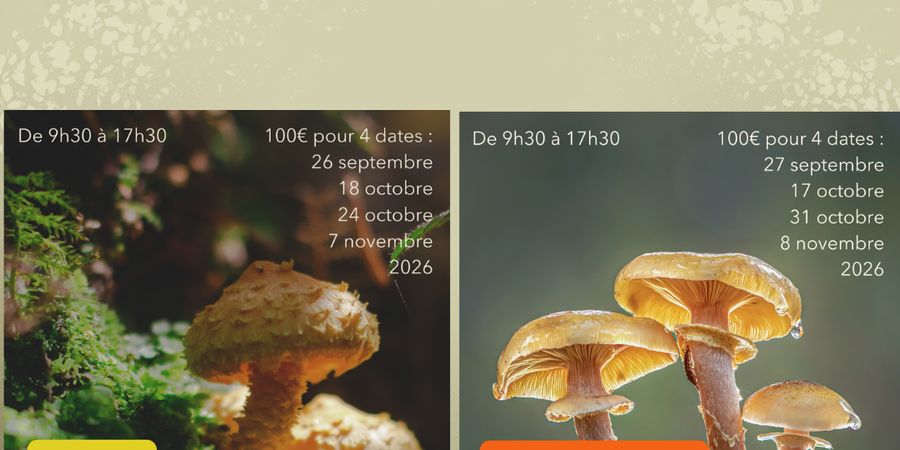 image - Mycologie Formations 2026