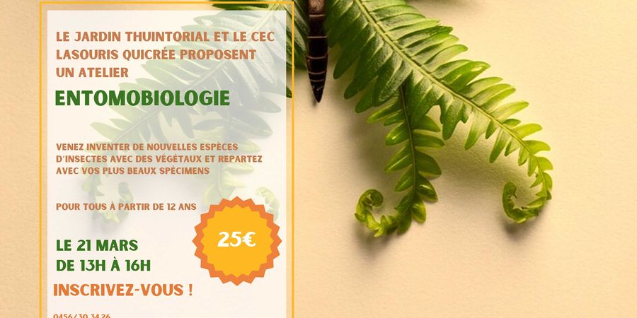 image - Atelier : Entomobiologie