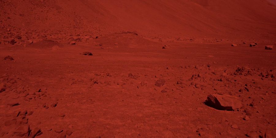 image - Francisca García & Mario Navarro | Unearthed Conversation