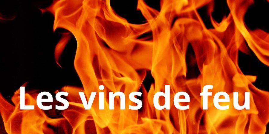 image - Masterclass : Les vins de feu