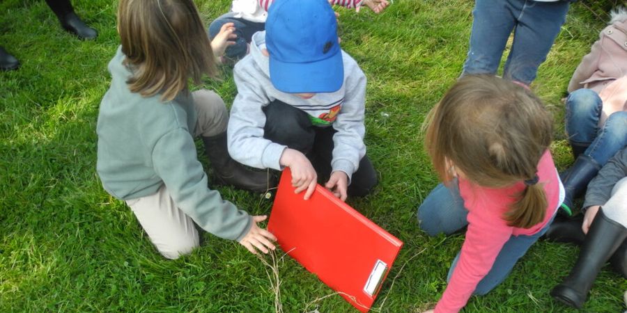 image - Animations scolaires d'éveil à l'environnement