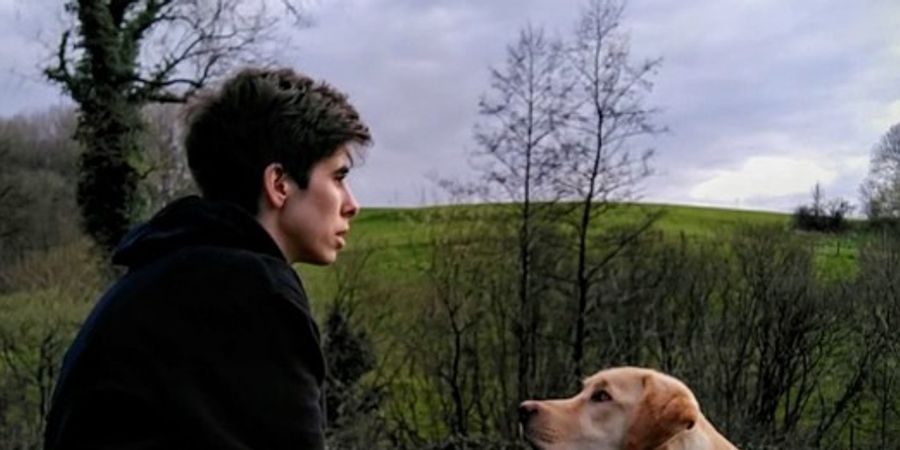 image - De vissen leken zo banaal