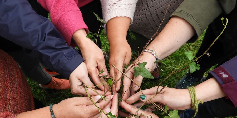 image - Initiation et découverte des soins verts : module spécifique 