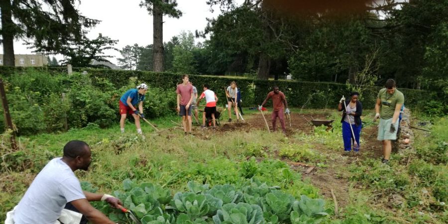image - Initiation et découverte des soins verts : module spécifique 