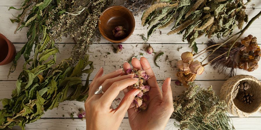 image - Herboristerie vivante 