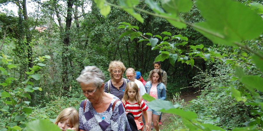 image - Champignons & compagnie : balade sur le terril