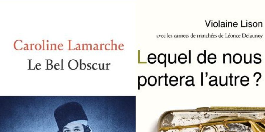 image - Club de lecture : Le Bel Obscur de Caroline Lamarche et Lequel de nous portera l’autre ? de Violaine