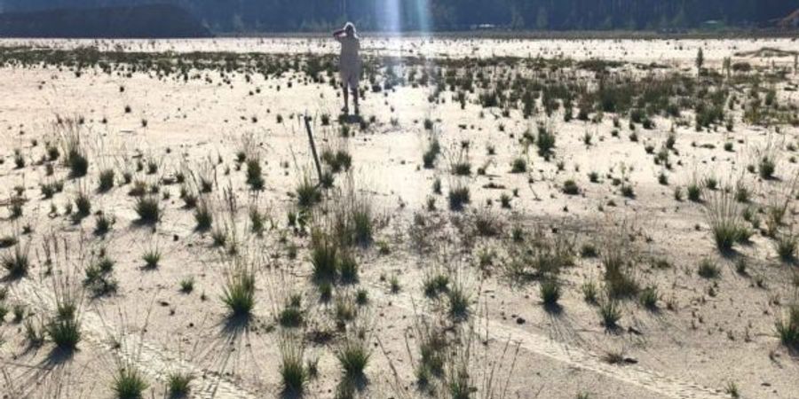 image - (Faire) face au nucléaire