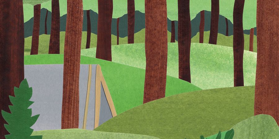 image - Terra Incognita