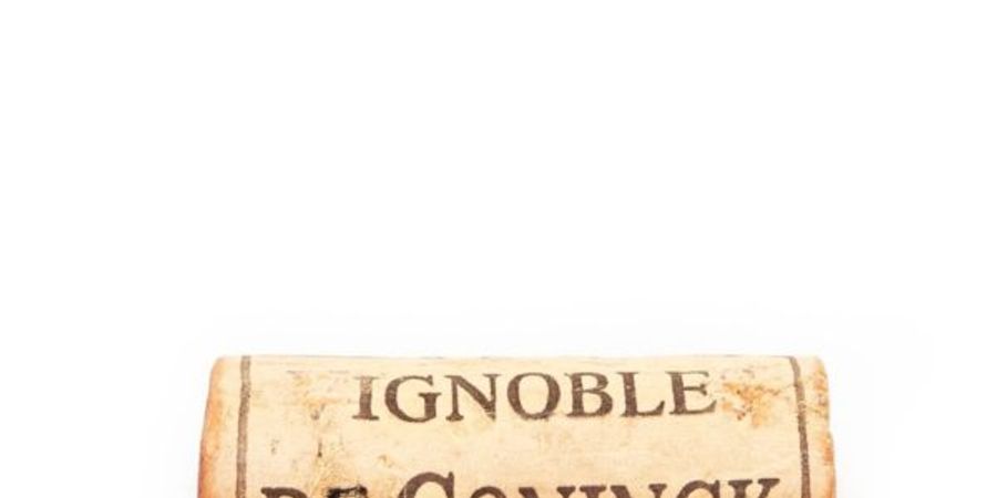 image - Parole donnée – Rencontre avec François de Coninck