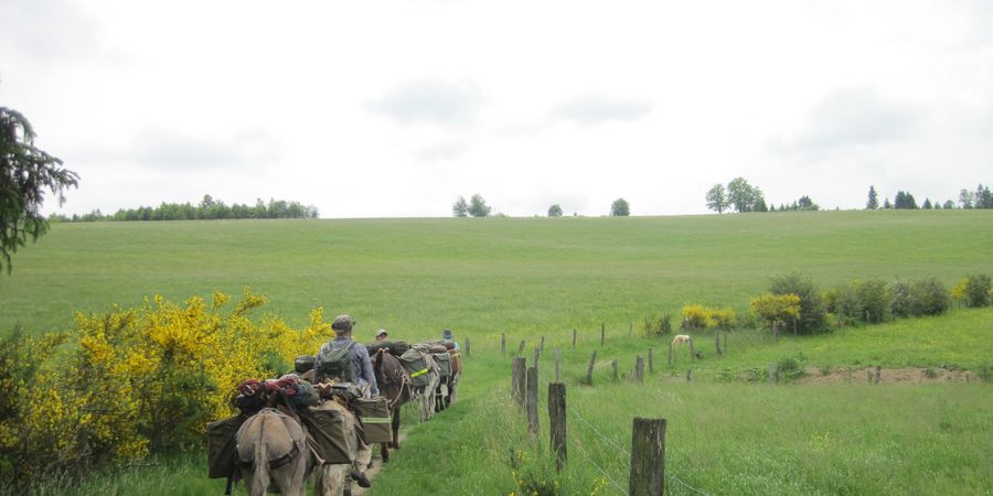 image - 10 Jours sur la Via Arduinna avec ânes bâtés