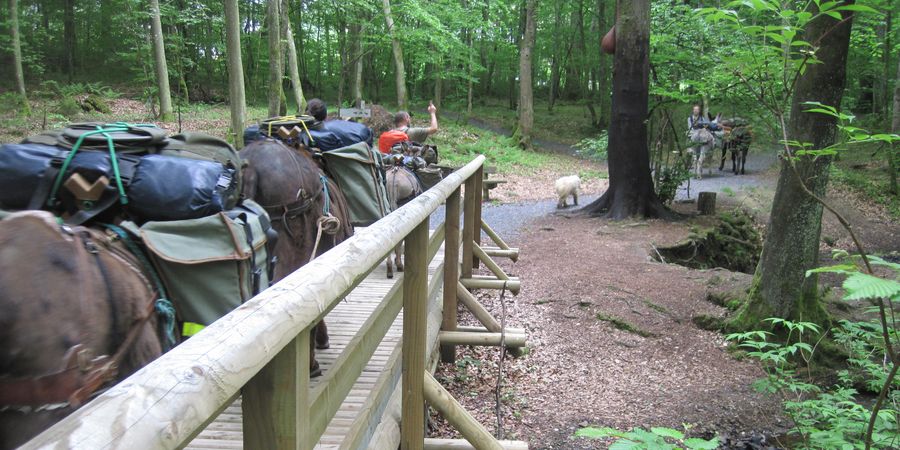 image - 10 jours sur la Via Arduinna, en mode 