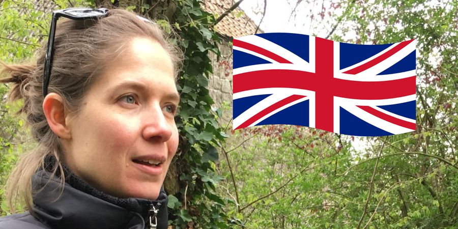 image - Wild Edible Plant Walk