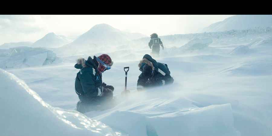 image - Le murmure du glacier - concert-conférence