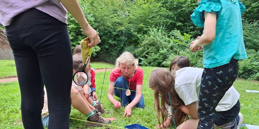 image - Les effets éducatifs des interventions de l'ErE (Education relative à l'Environnement)
