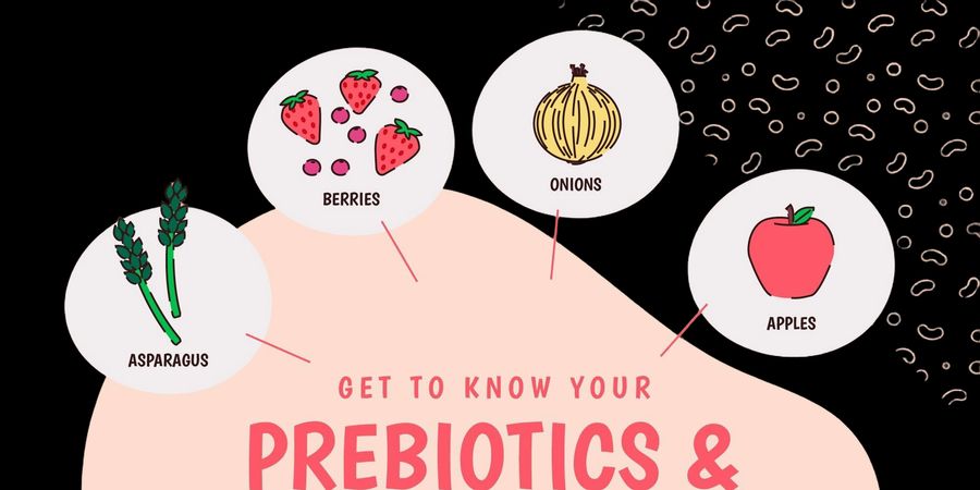 image - Initiation aux pré et probiotiques