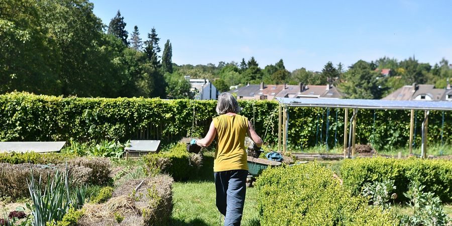 image - Cycle : Initiation au jardinage biologique