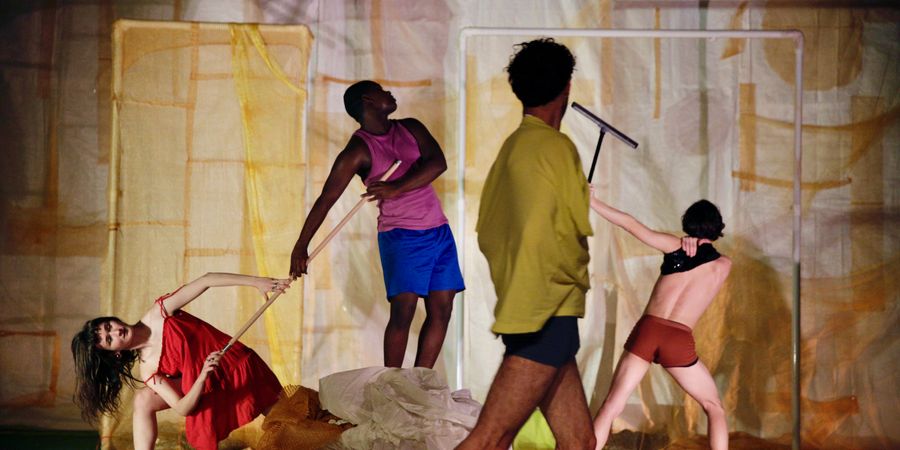 image - Le Margherite - Erika Zueneli 