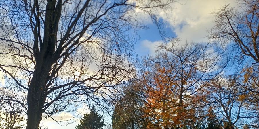 image - Escapade urbaine à Cointe : quand les rues (s') appellent la nature.