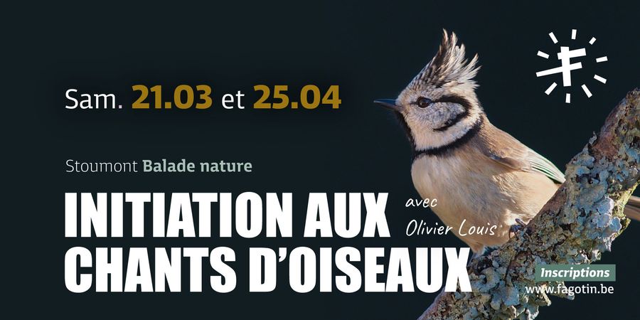 image - Initiation aux chants d'oiseaux