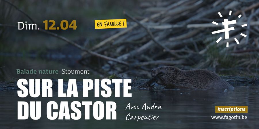 image - Sur la piste du castor