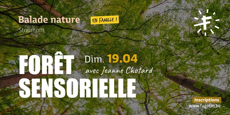 image - Forêt sensorielle