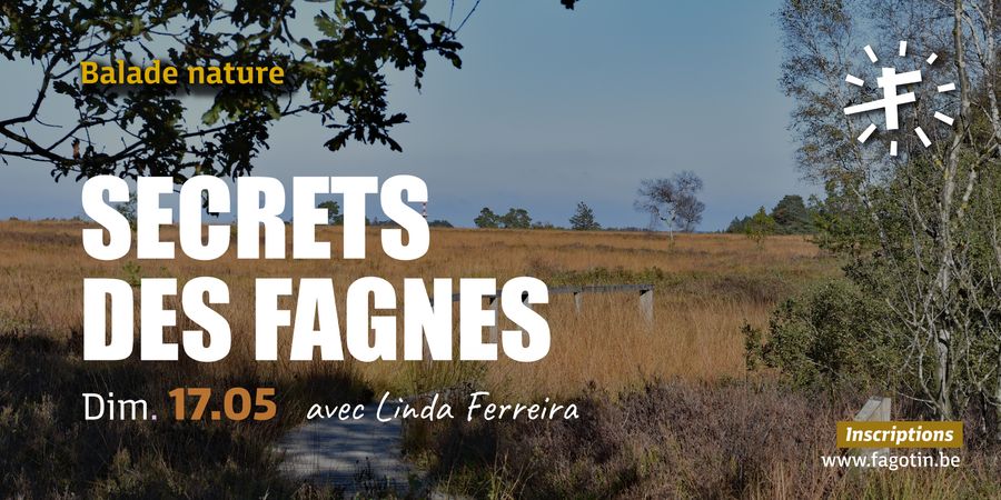 image - Secrets des Fagnes